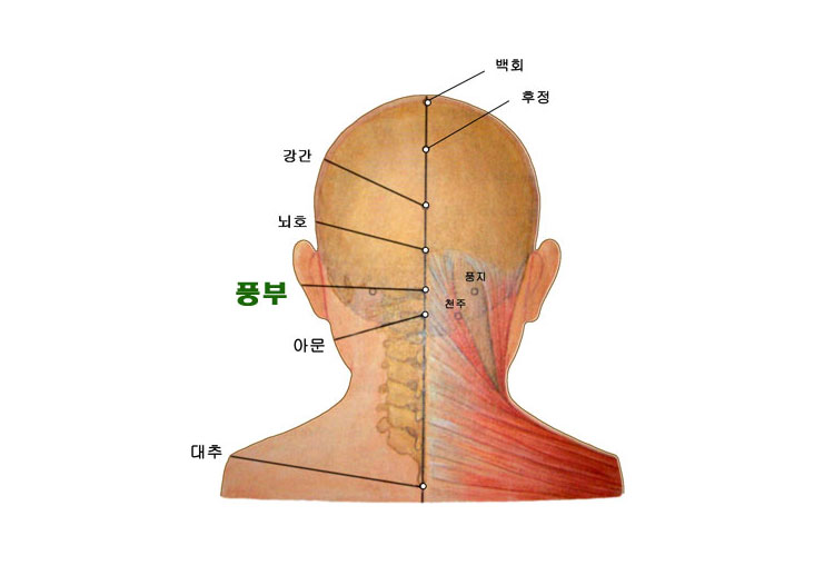 침구경험방 - 컨텐츠 내용
