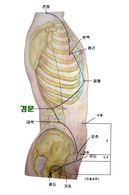 침구경험방 - 컨텐츠 내용